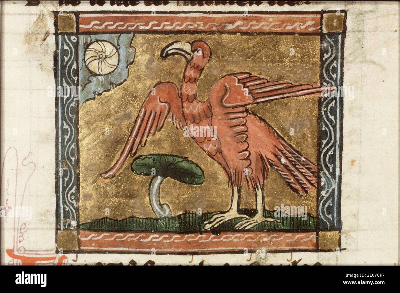 Linacos - Der naturen bloeme - Jacob van Maerlant - KB KA 16 - 093r b1 ...