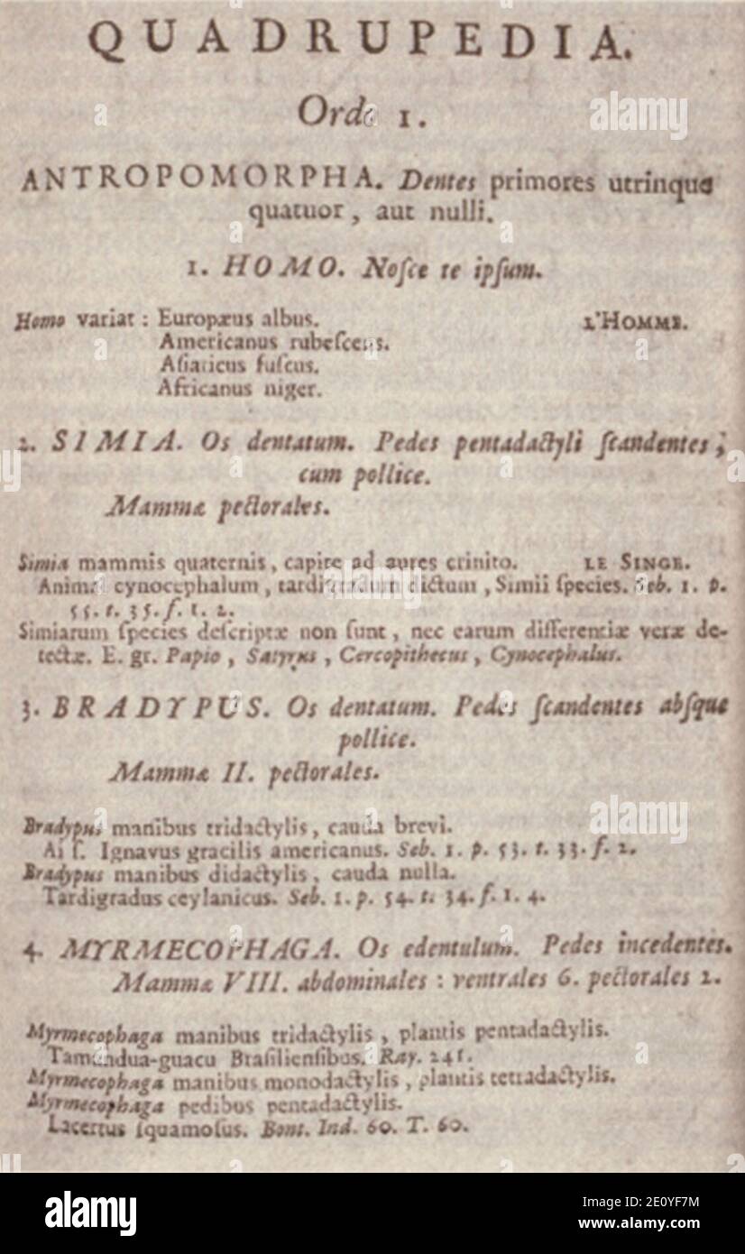 Linnaeus Systema Naturae 1748. Stock Photo