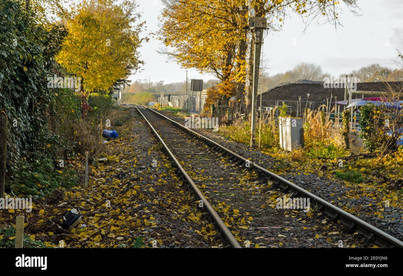 View along a single railway track covered with fallen yellow leaves of autumn.  Bourne End, Buckinghamshire. Stock Photo
