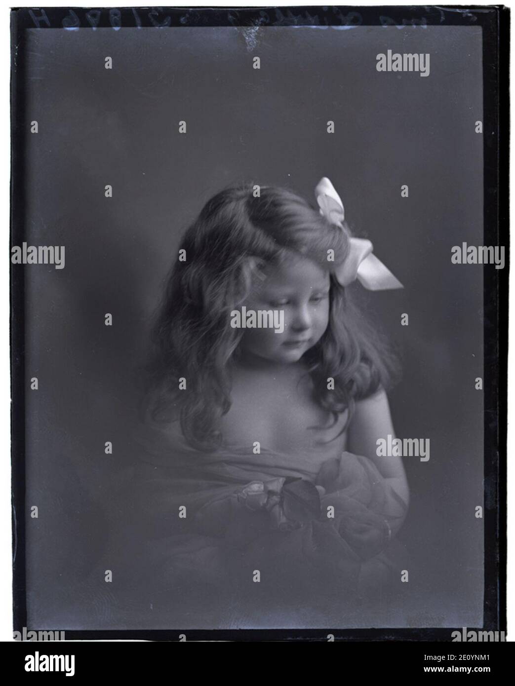 Little girl Elms, 20 Apr 1912 (17065974505). Stock Photo