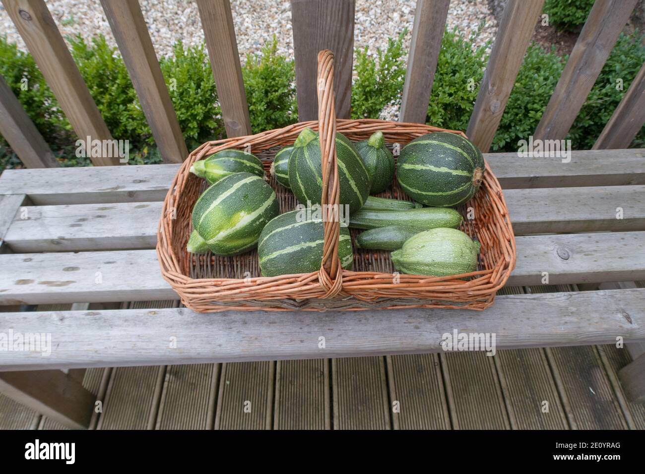 Courgettes cucurbita pepo hi-res stock photography and images - Alamy