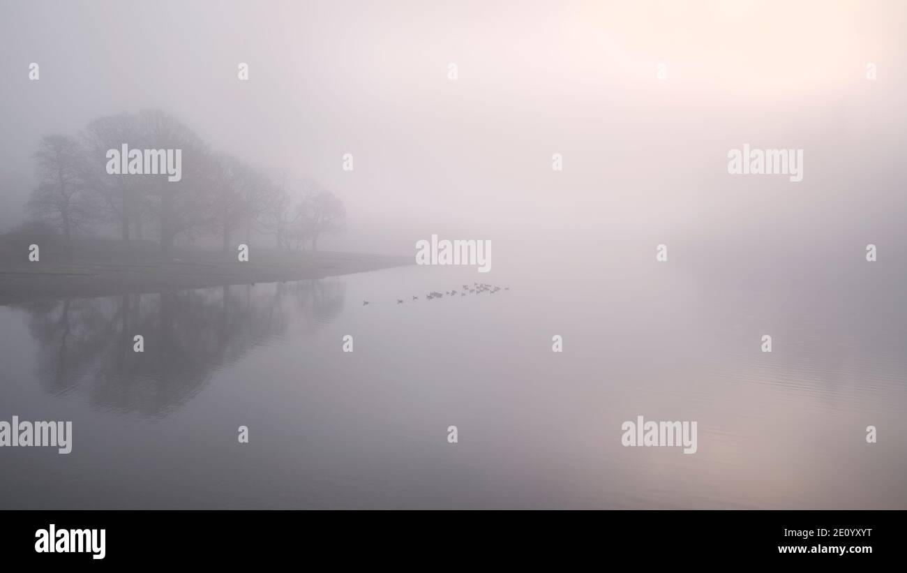 Beautiful landscape image of misty Derwentwater in Lake District on cold Winter morning Stock Photo