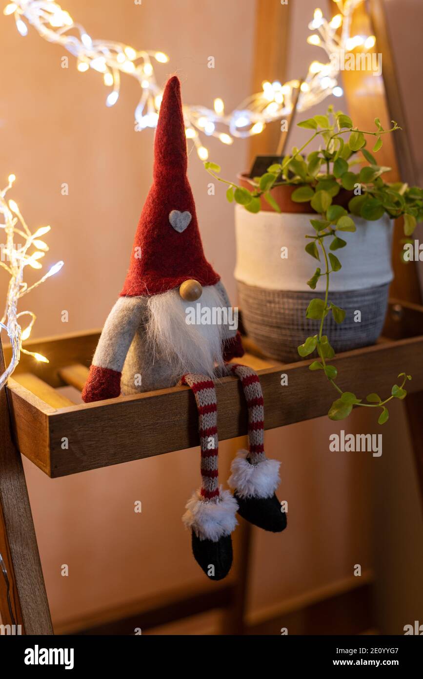Christmas elf sitting on a wooden shelf next to a green plant, illuminated by light garlands. Cute christmas decoration. Stock Photo