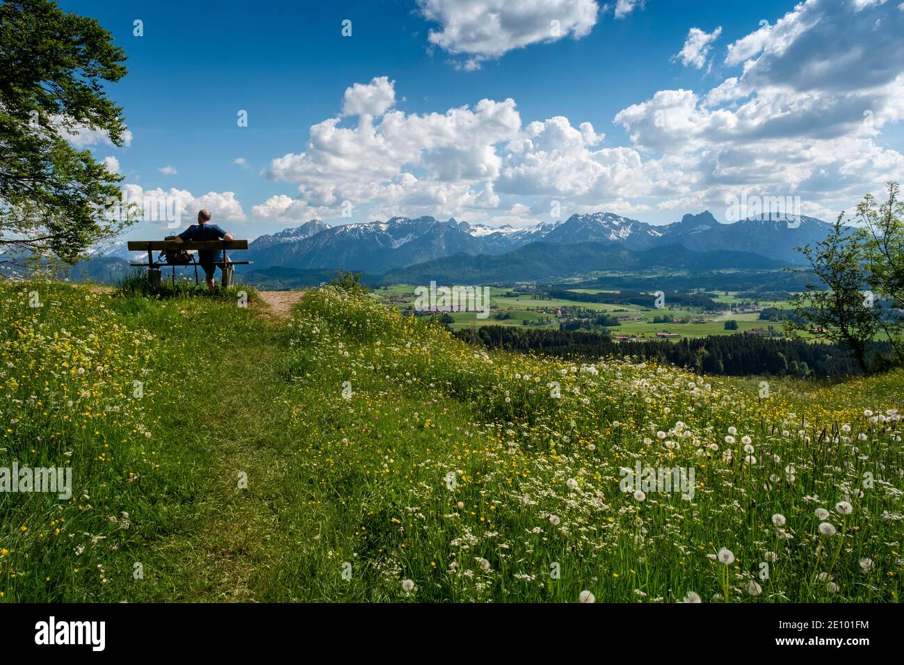 Hiker taking a rest, view over alpine meadows at Senkelkopf to Beichelsteinalpe, Allgäu Alps, East Allgäu, Allgäu, Swabia, Germany, Europe Stock Photo