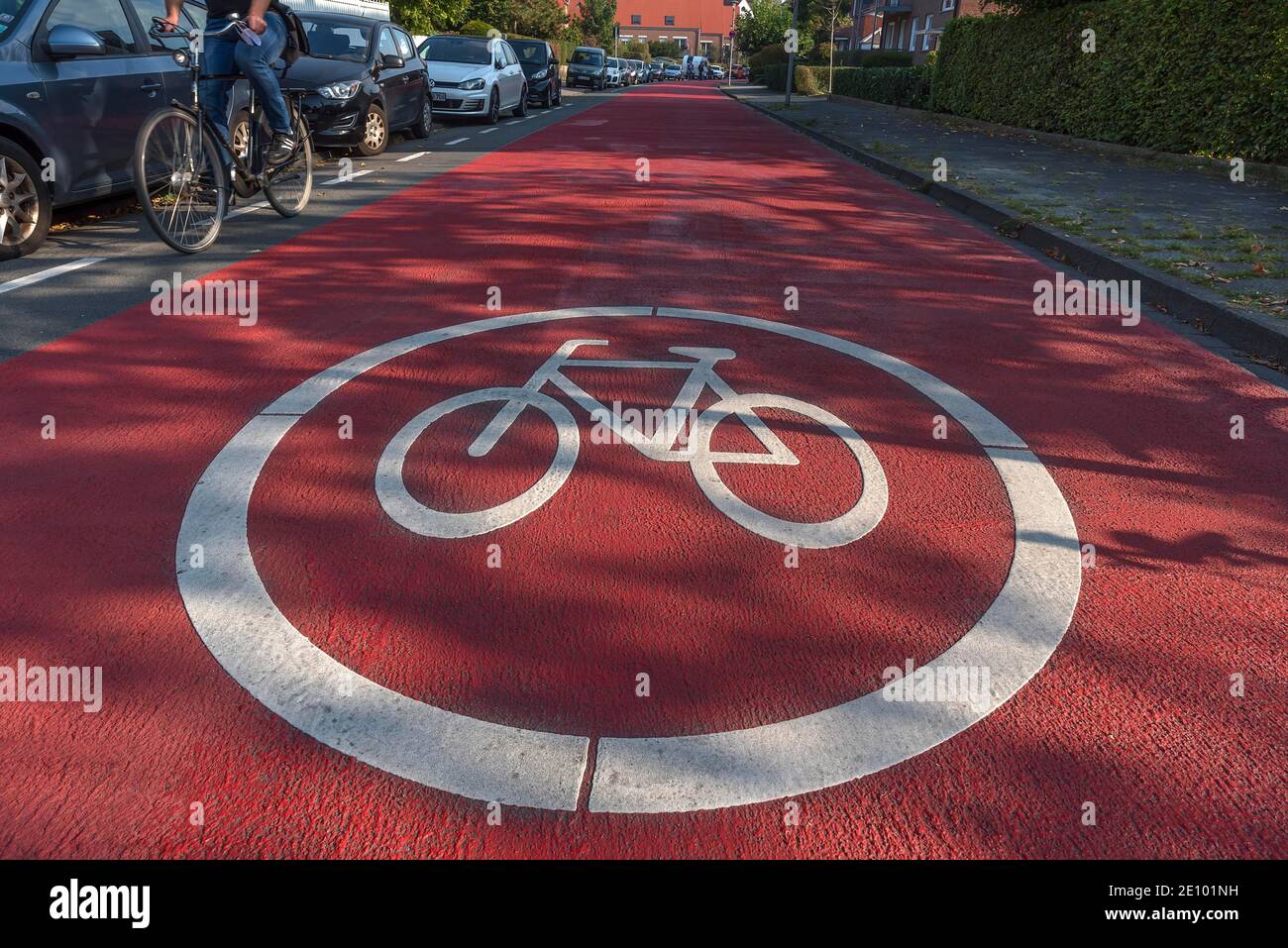 Completely red marked bicycle road, bicycle path, Münster, North Rhine-Westphalia, Germany, Europe Stock Photo