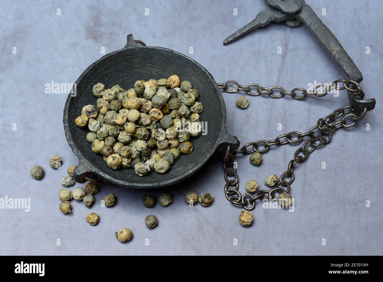 Green Malabar pepper in weighing pan, Germany, Europe Stock Photo