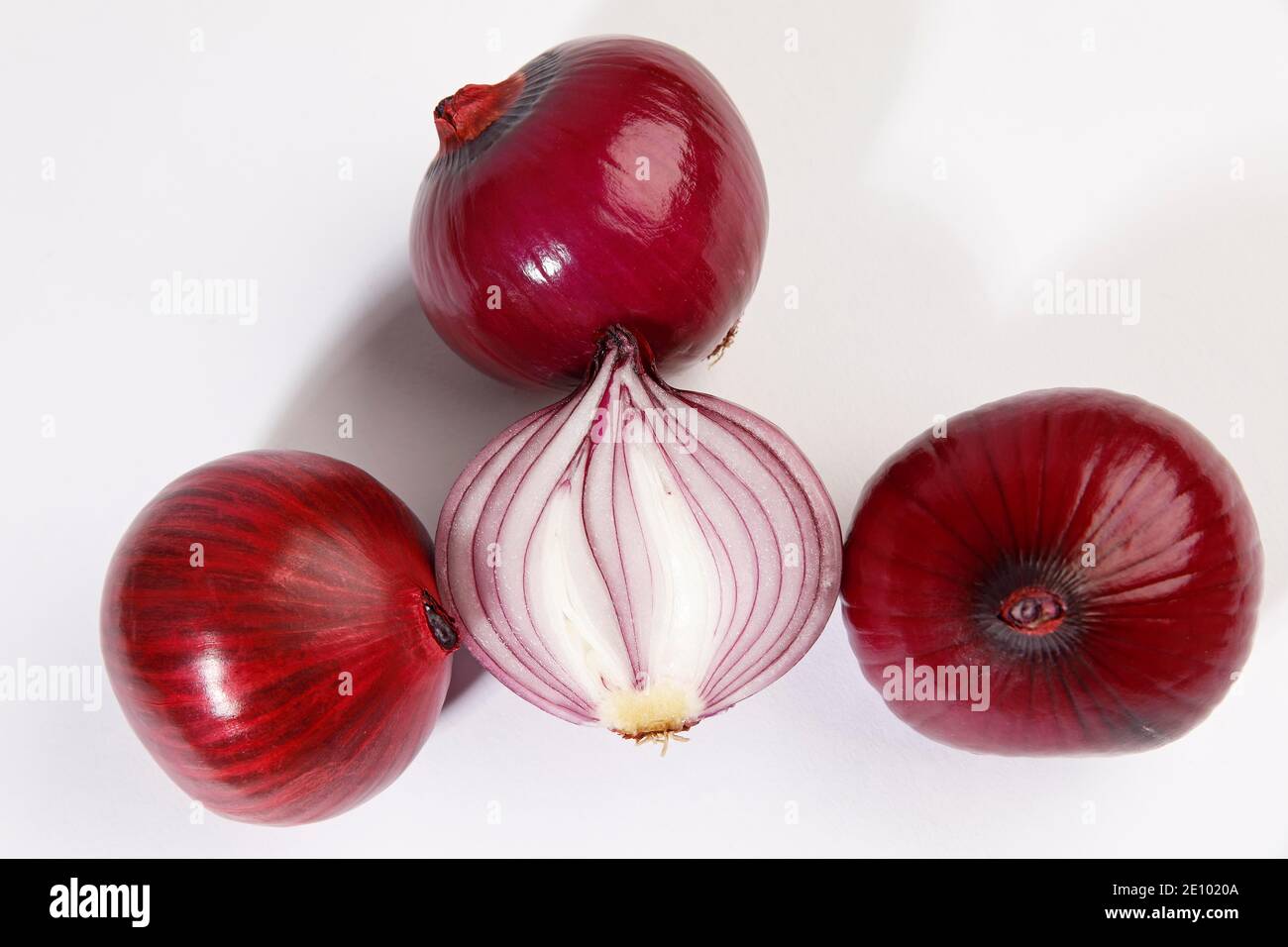 Red onions (Allium cepa), studio shot, Schleswig-Holstein, Germany, Europe Stock Photo