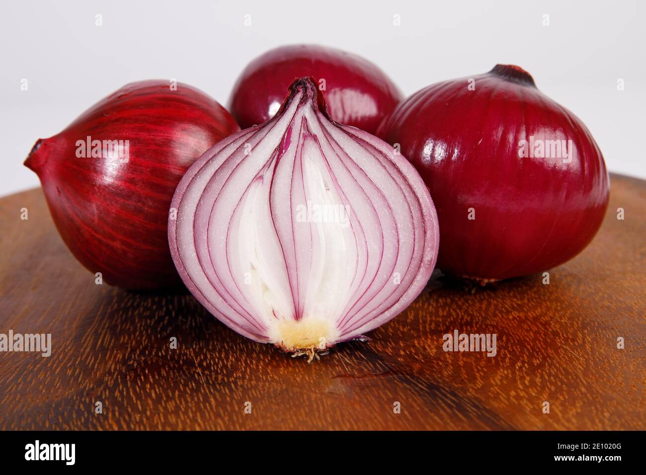 Allium cepa studio photography hi-res stock photography and images - Alamy