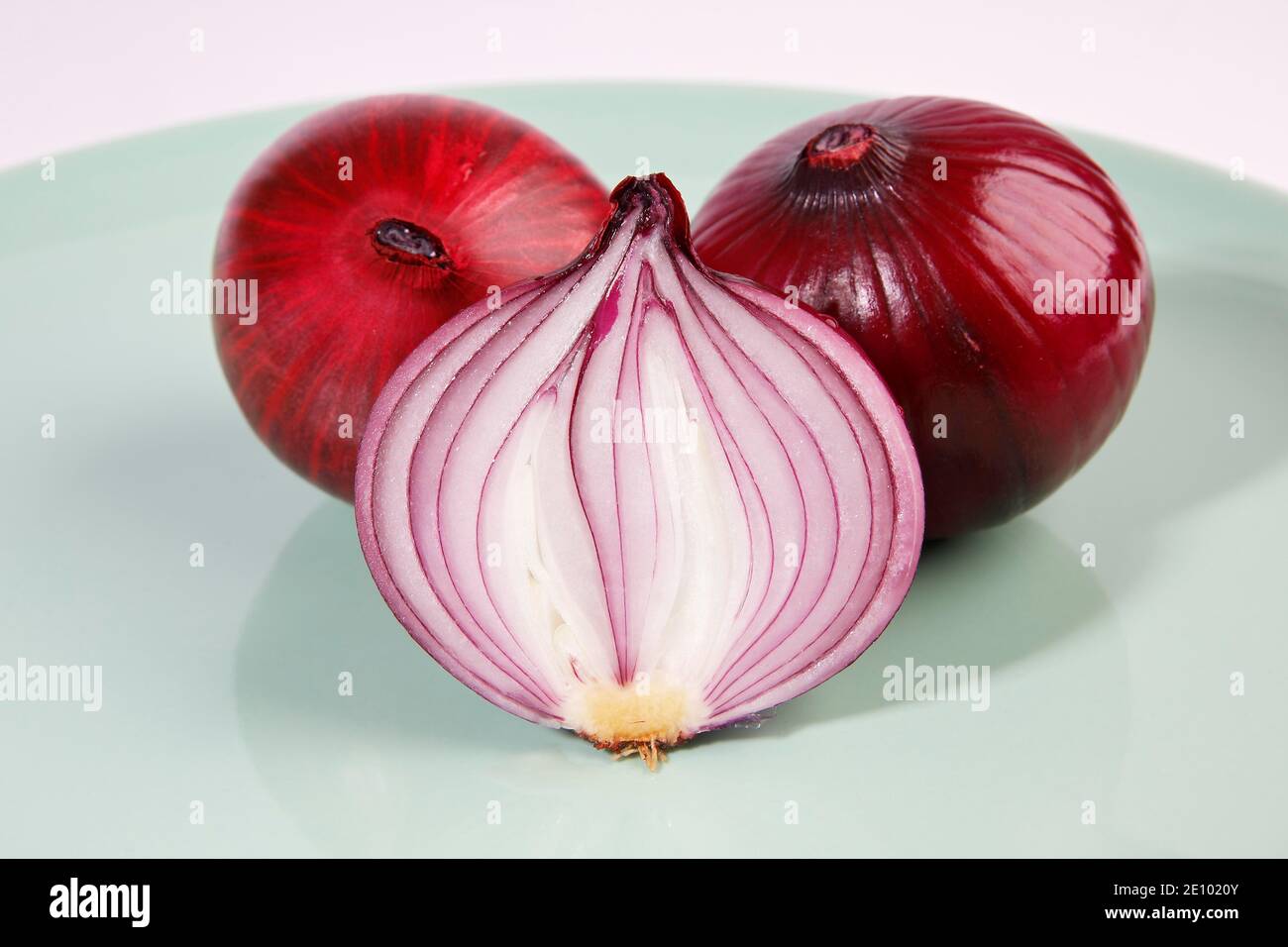Red onions (Allium cepa), studio shot, Schleswig-Holstein, Germany, Europe Stock Photo
