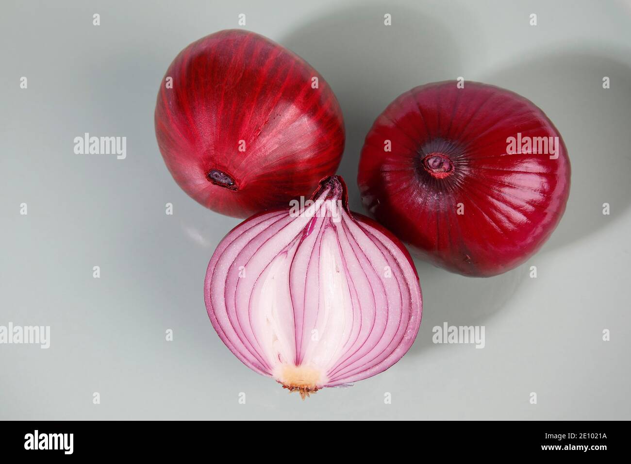 Red onions (Allium cepa), studio shot, Schleswig-Holstein, Germany, Europe Stock Photo