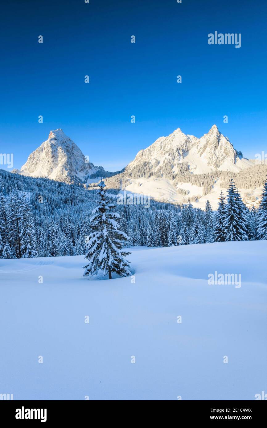 Large and small myths, Schwyz, Switzerland, Europe Stock Photo