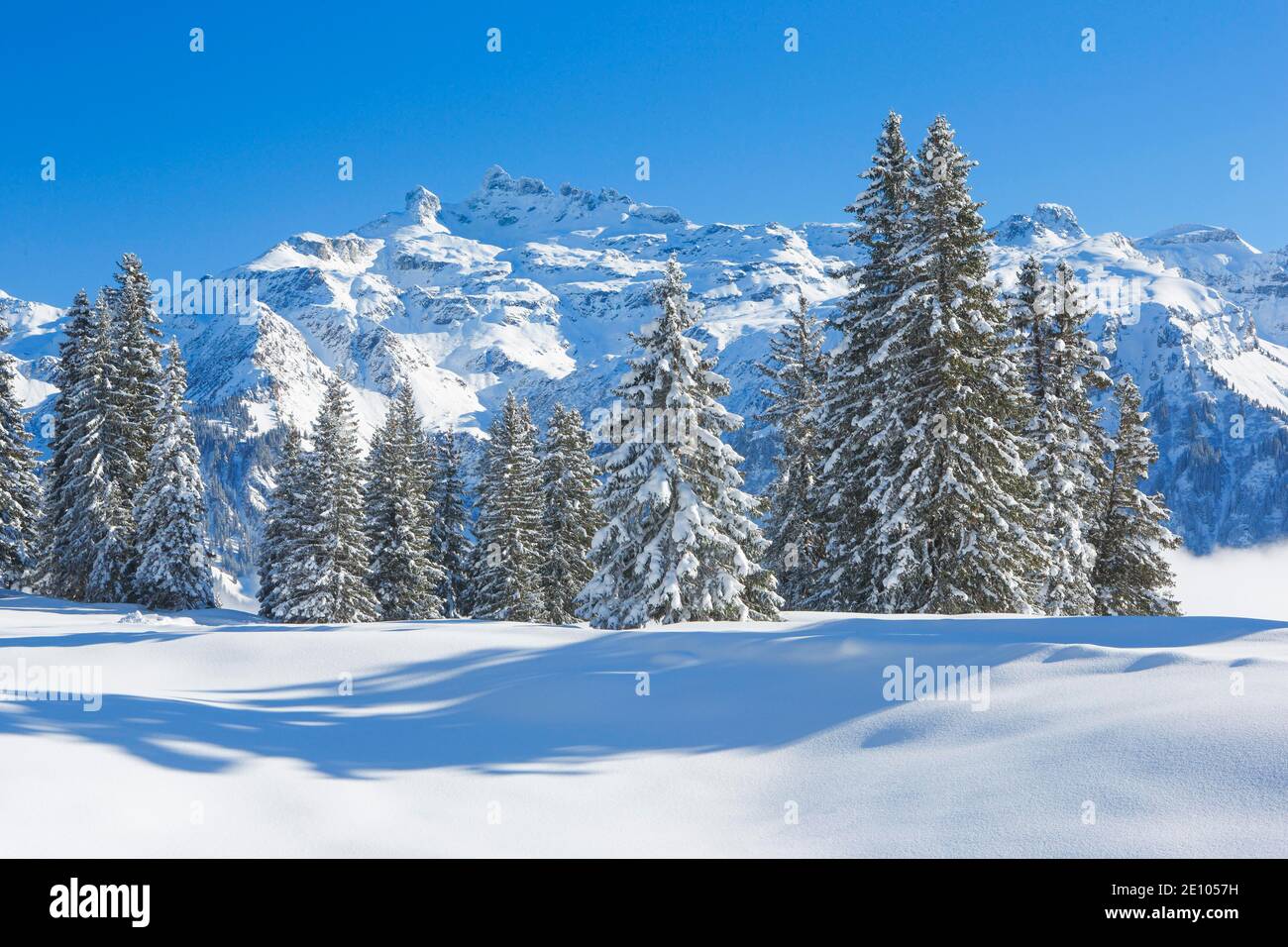 Freiberge Kärpf, Glarus Alps, Switzerland, Europe Stock Photo - Alamy