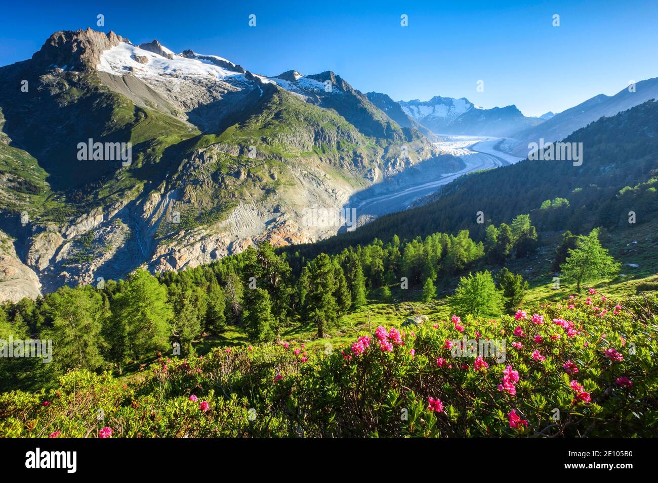 Fusshörner, Wannenhörner and Aletsch Glacier, Switzerland, Europe Stock Photo