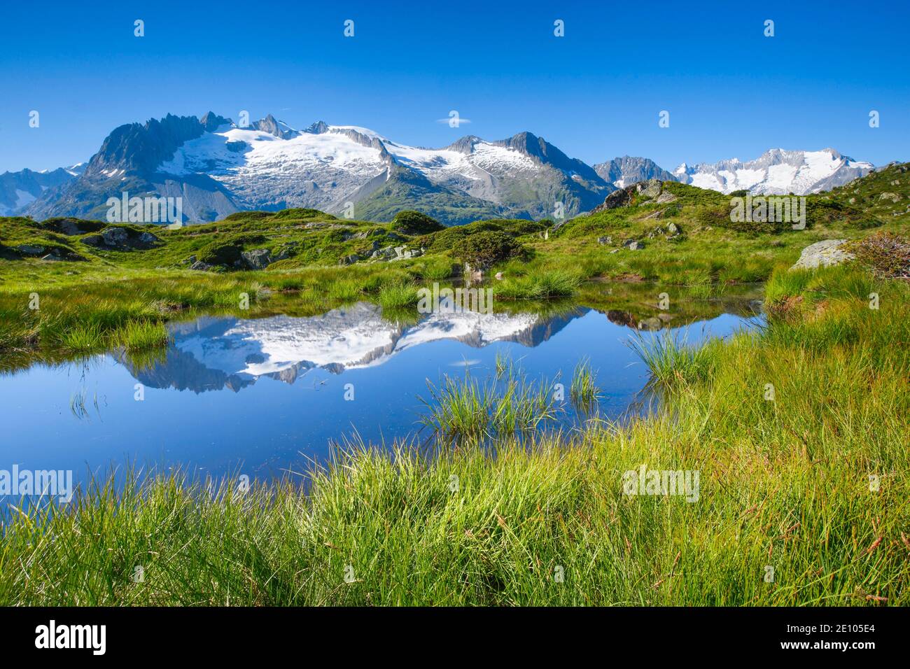Foot horns and tub horns, Valais, Switzerland, Europe Stock Photo