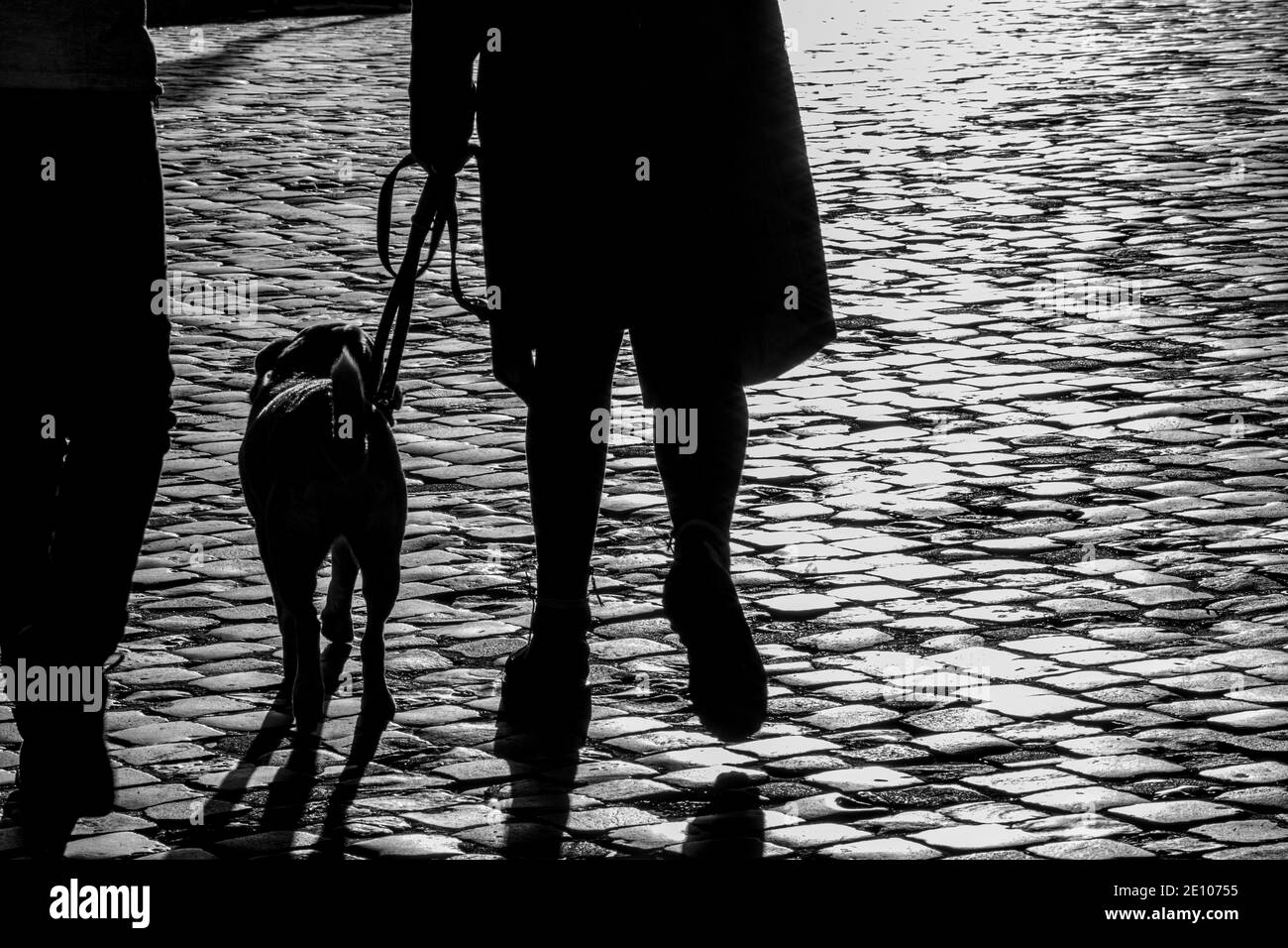 People walking a dog over cobblestones silhouetted against strong sunlight Stock Photo