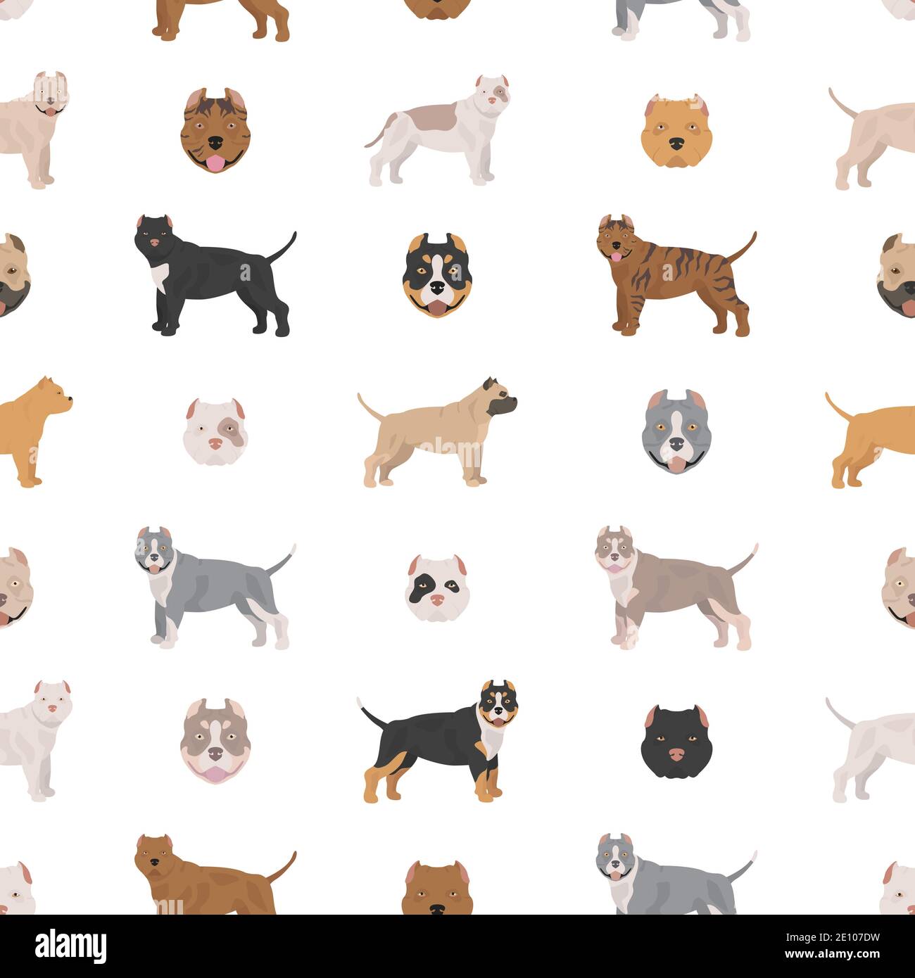 American bully dogs set. Color varieties, different poses. Seamless