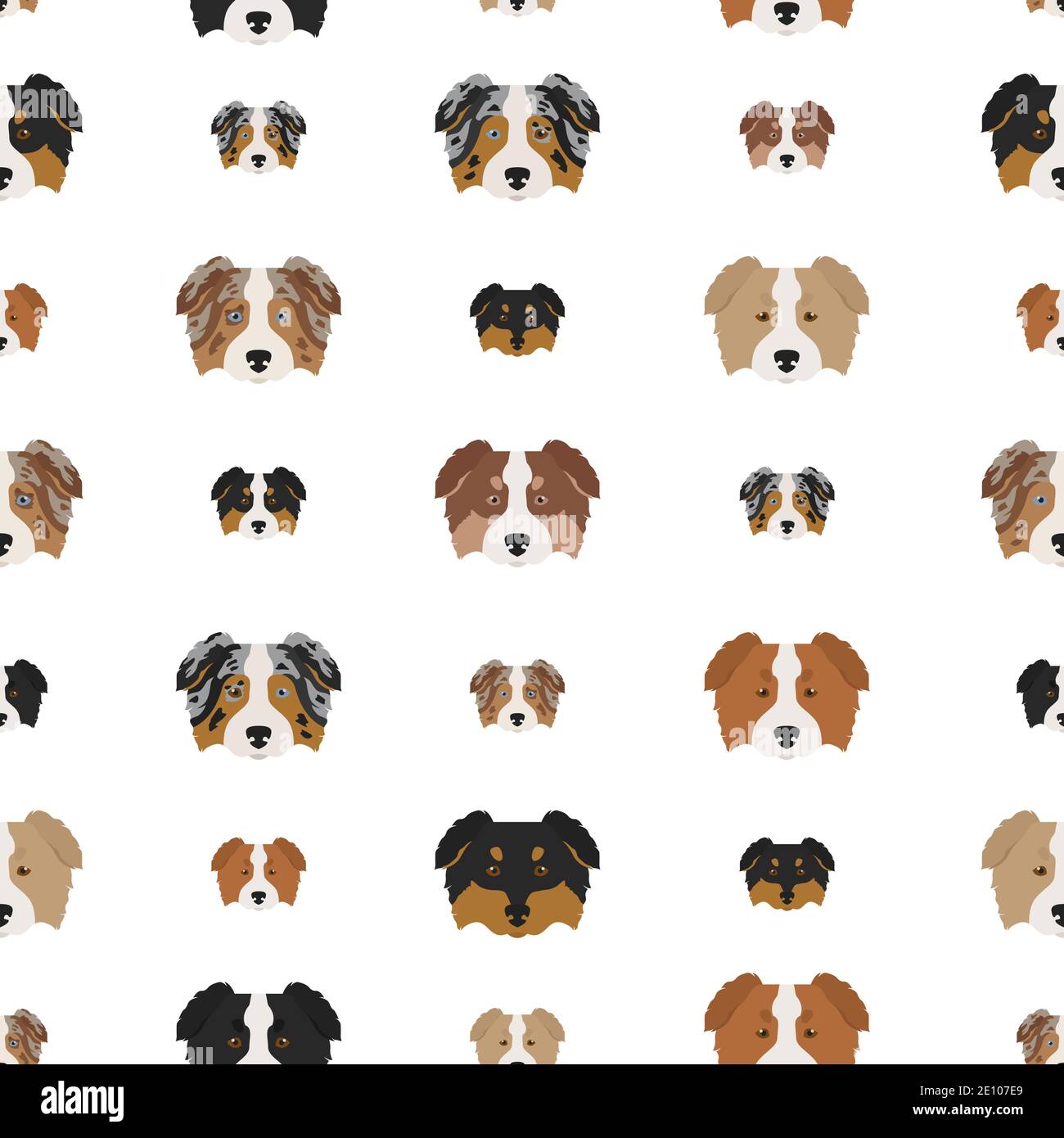 Australian shepherd dog seamless pattern. Different variations of coat