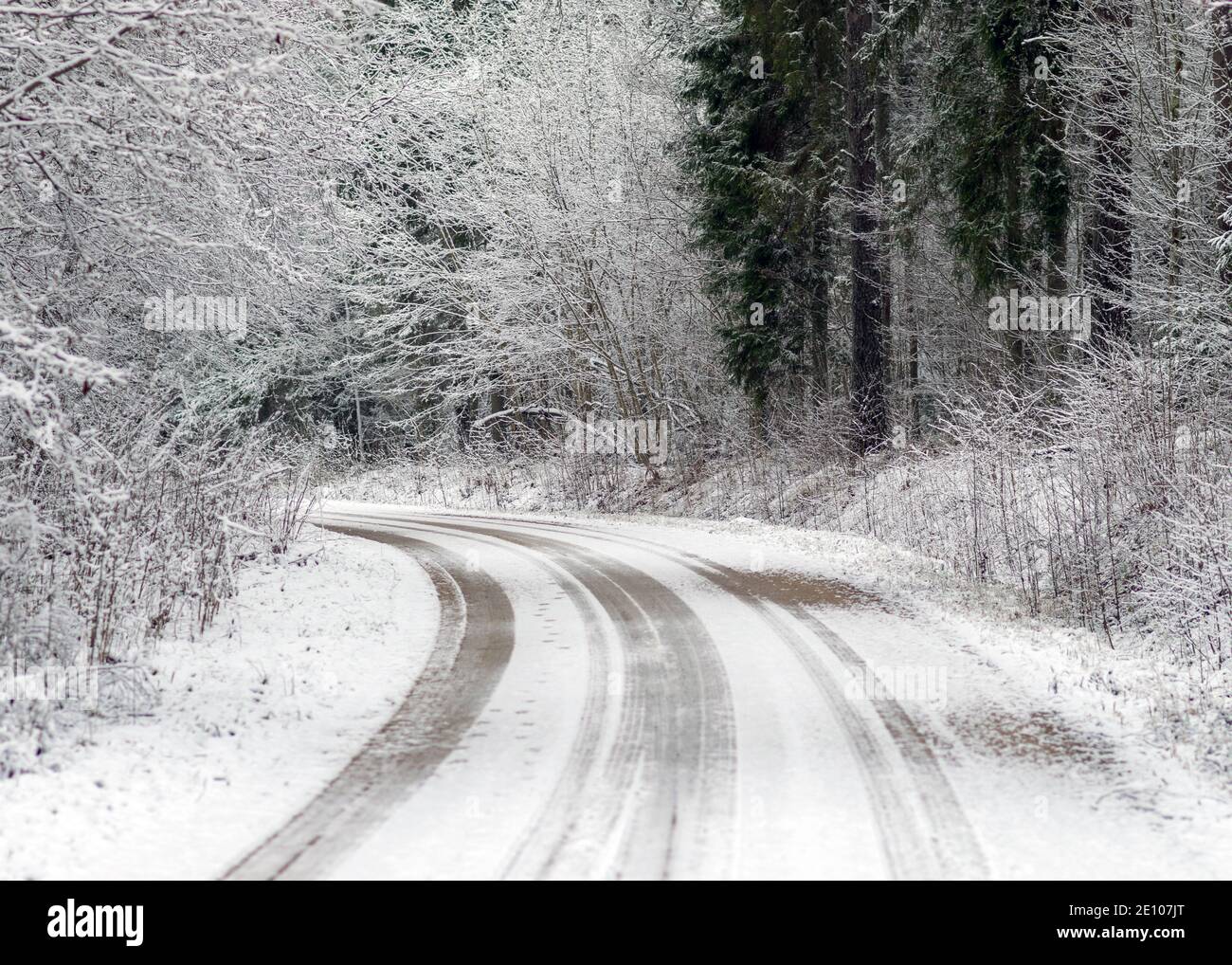 winter landscape with a snowy country road and snow-covered trees on ...