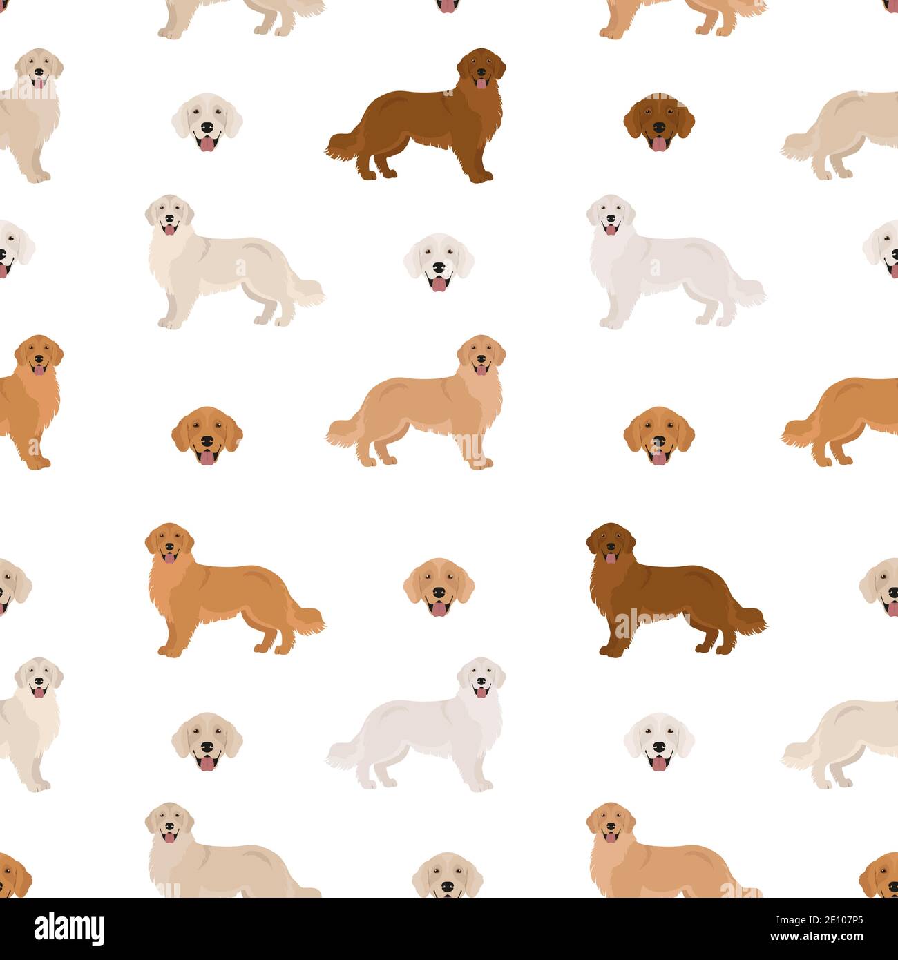 Golden retriever dogs in different poses and coat colors. Seamless