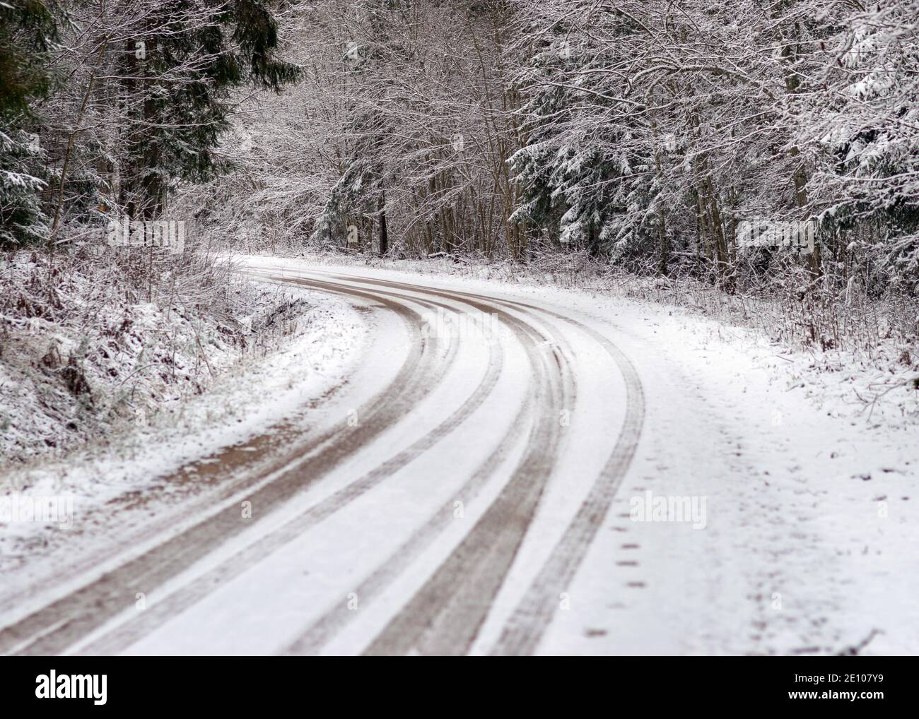 winter landscape with a snowy country road and snow-covered trees on ...