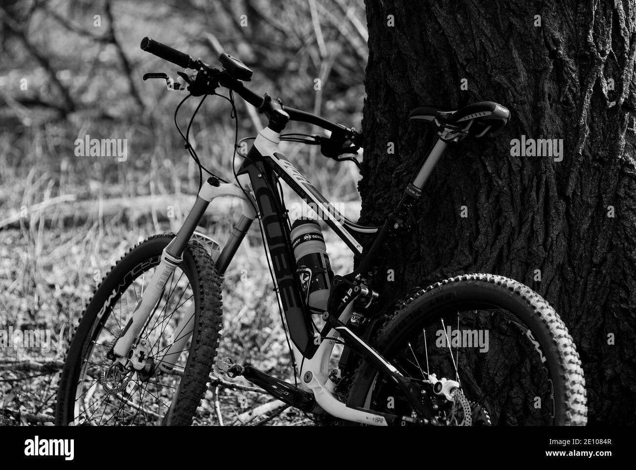 mountain bike in the forest black and white horizontal Stock Photo - Alamy