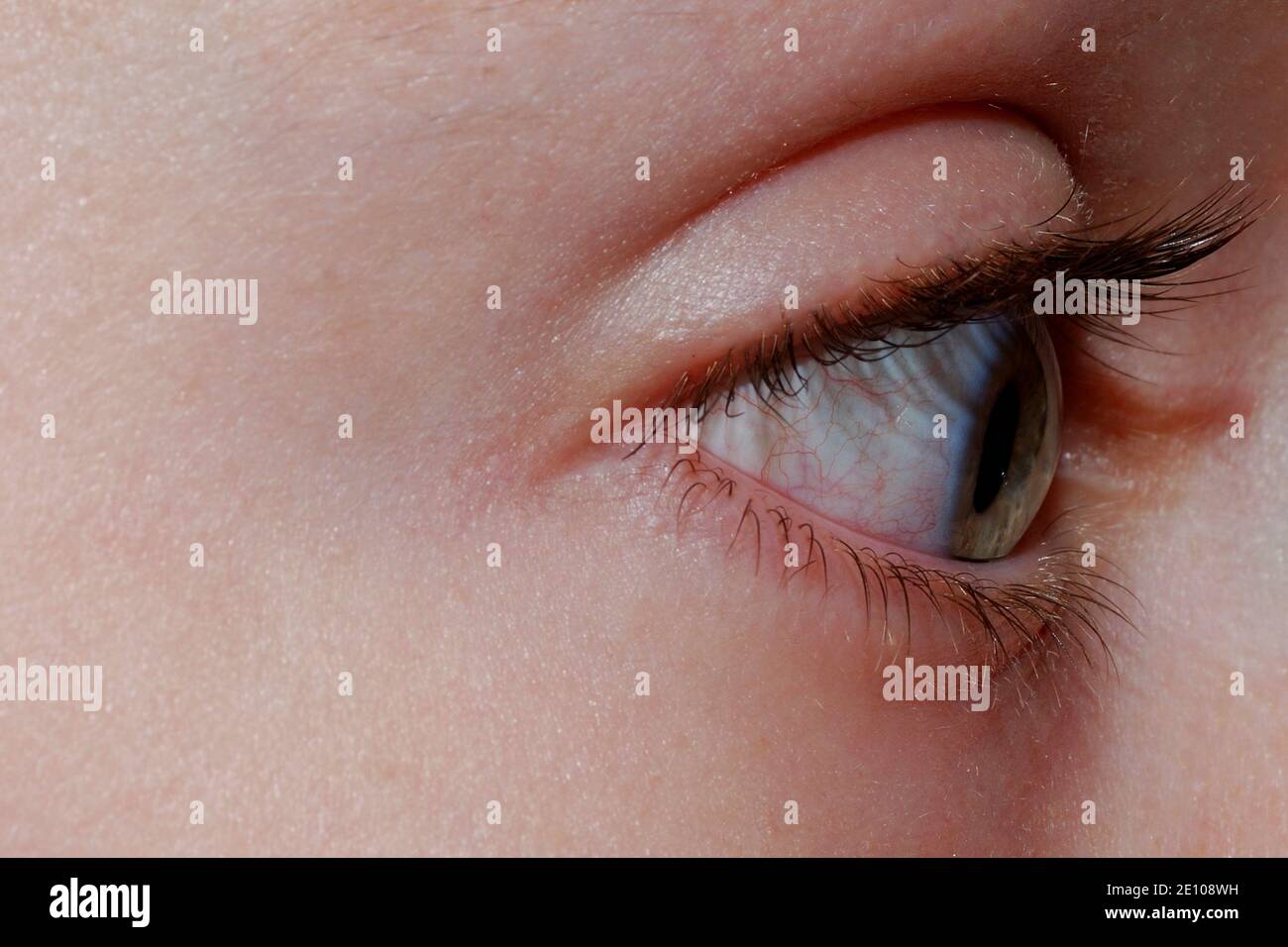 sideview macro of an eye Stock Photo