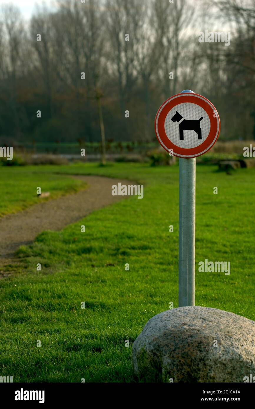 Dog prohibition sign in city park. No dogs allowed. Dog walking is