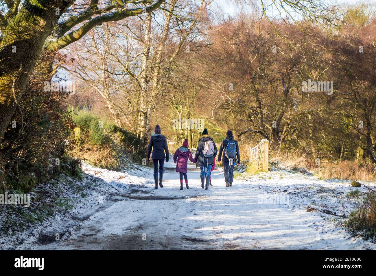 Family walking in the snow in winter along the Sandstone Trail long distance footpath over Bickerton Hills in the Cheshire countryside England UK Stock Photo