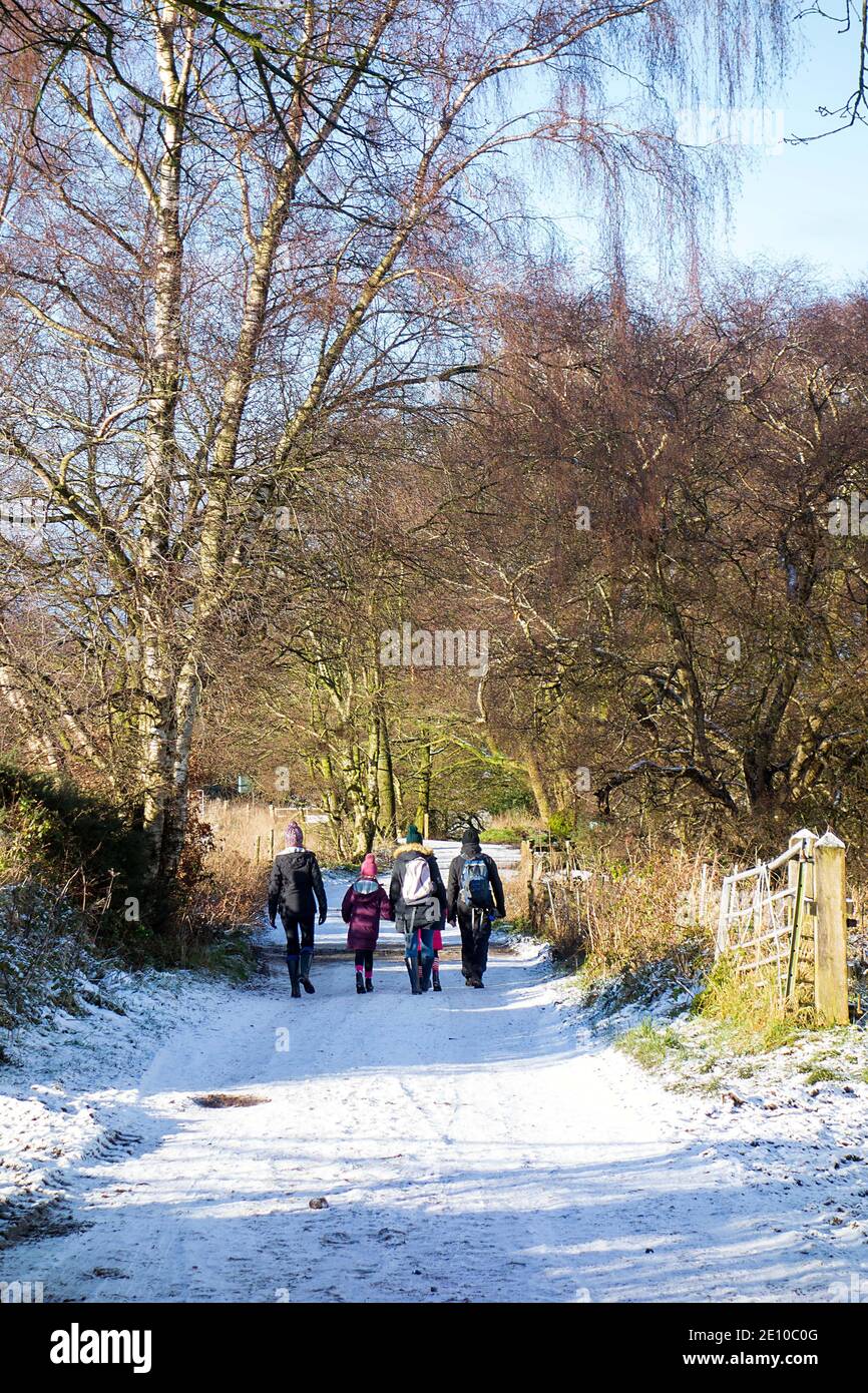 Family walking in the snow in winter along the Sandstone Trail long distance footpath over Bickerton Hills in the Cheshire countryside England UK Stock Photo