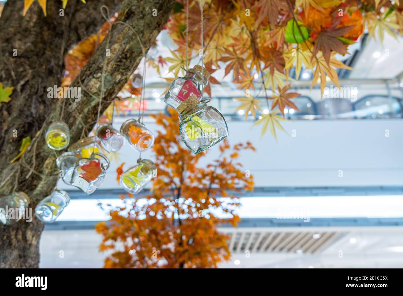 Transparent glass bottles hanging on a maple tree with artificial fall foliages Stock Photo
