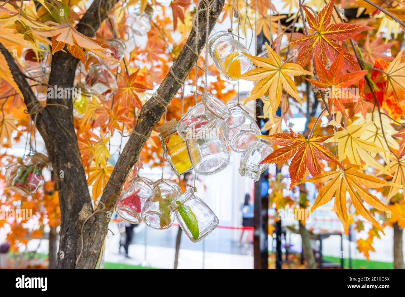 Transparent glass bottles hanging on a maple tree with artificial fall foliages Stock Photo