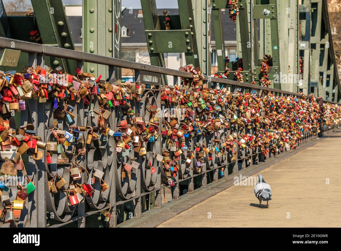 Many locks on the railing of the iron bridge in Frankfurt. Locks of love in different colors in