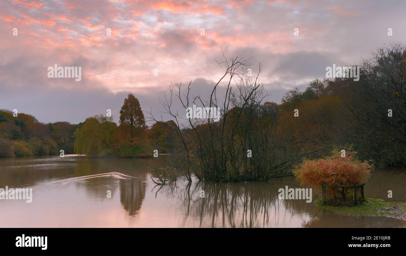 Golden Acre Park Leeds High Resolution Stock Photography and Images - Alamy