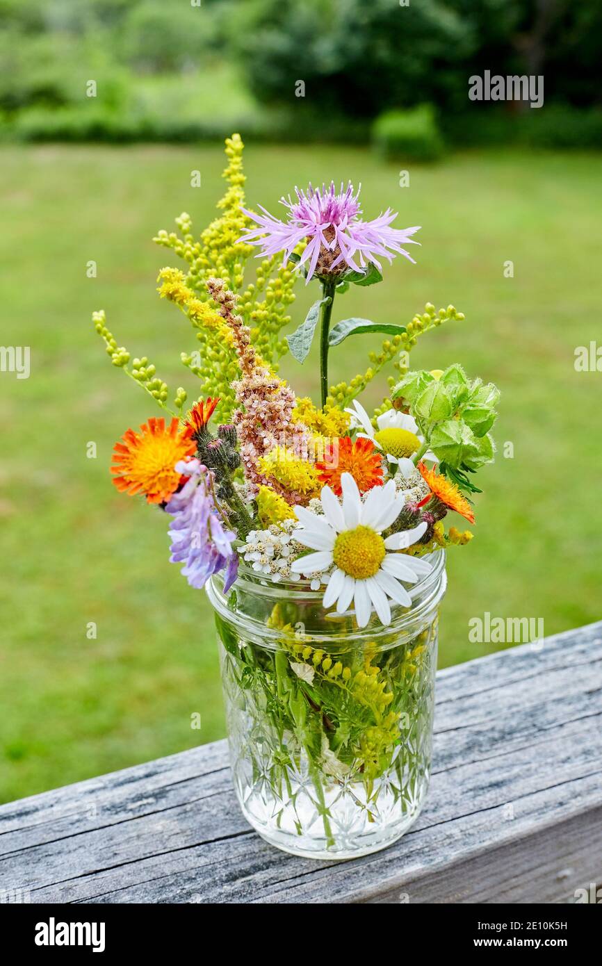 Wildflower Arrangement on a Bare Wooden Railing with Greenery in the Background 2 Stock Photo