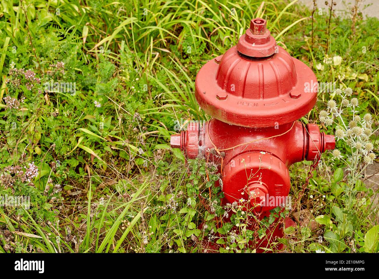 Red Fire Hydrant in Weeds, Wide View in Right of Frame Stock Photo