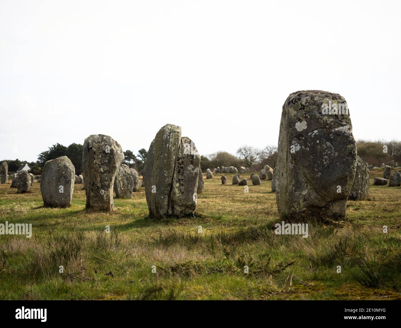 Pre celtic Carnac standing granite stones menhir megalith monolith rock ...