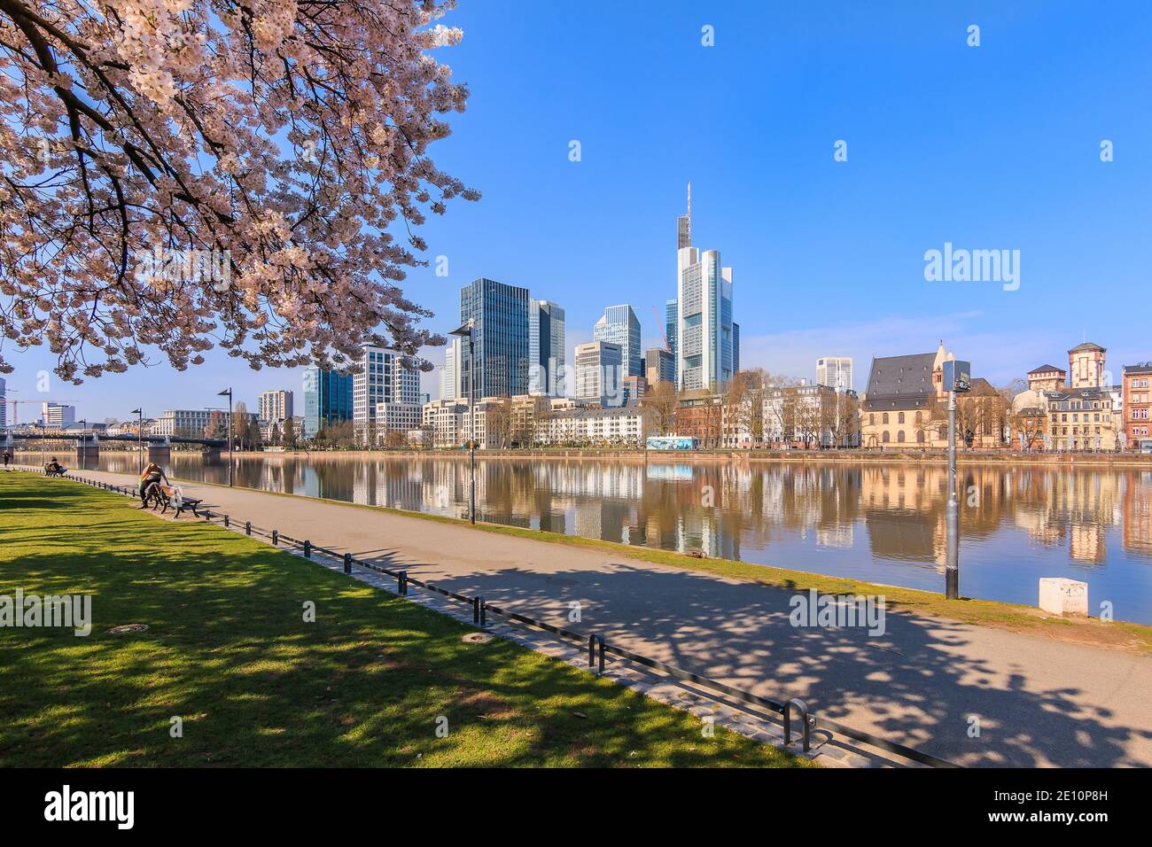 Park on the banks of the Main in Frankfurt. Trees with blossoms in spring. High-rise buildings in the city center of the financial district. Houses by Stock Photo