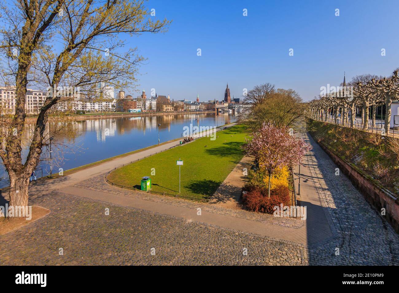 Park in Frankfurt along the banks of the Main. Paved path with trees and grass in spring with blue sky. Buildings from the center of the old town in t Stock Photo