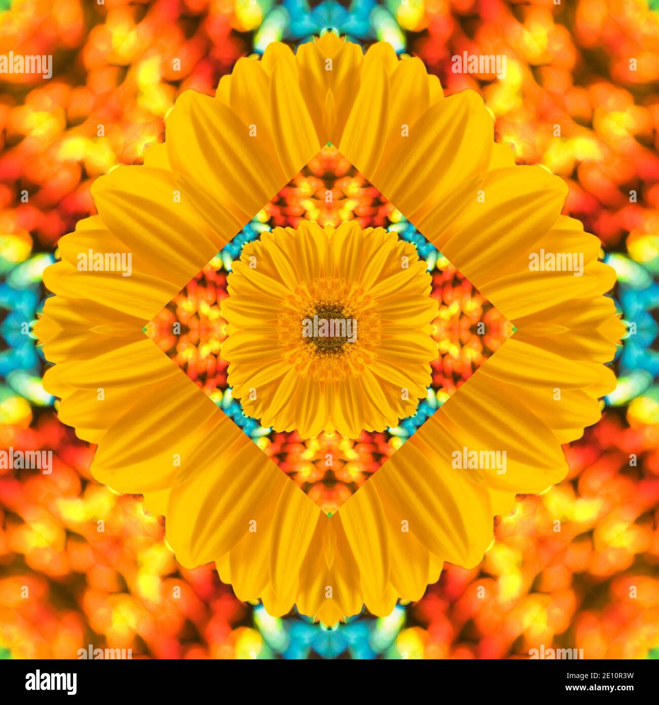 Kaleidoscope of flowers Stock Photo - Alamy