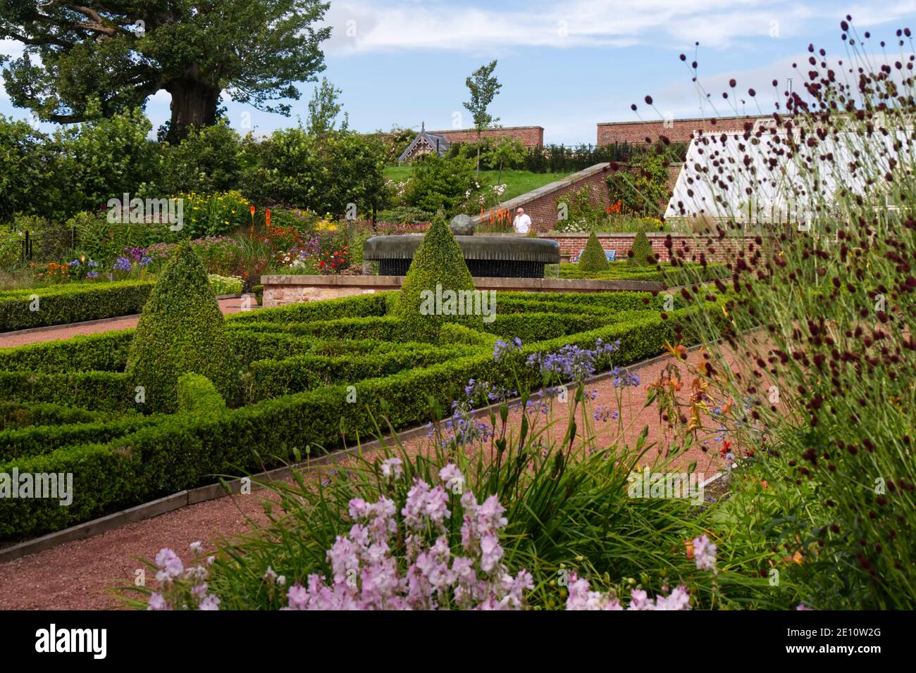 formal box hedge in the Queen Elizabeth Walled Gardens,Dumfries House estate , Cumnock,Scotland Stock Photo