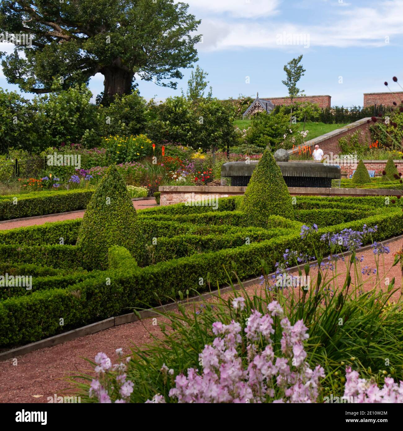 formal box hedge in the Queen Elizabeth Walled Gardens,Dumfries House estate , Cumnock,Scotland Stock Photo