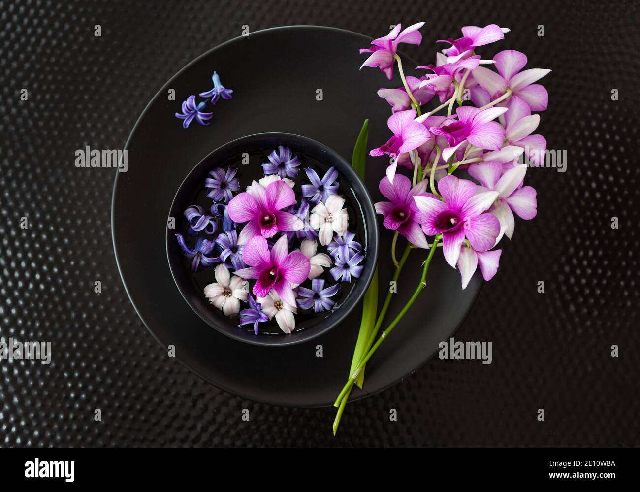 Purple Orchids And Hyacinths Stock Photo