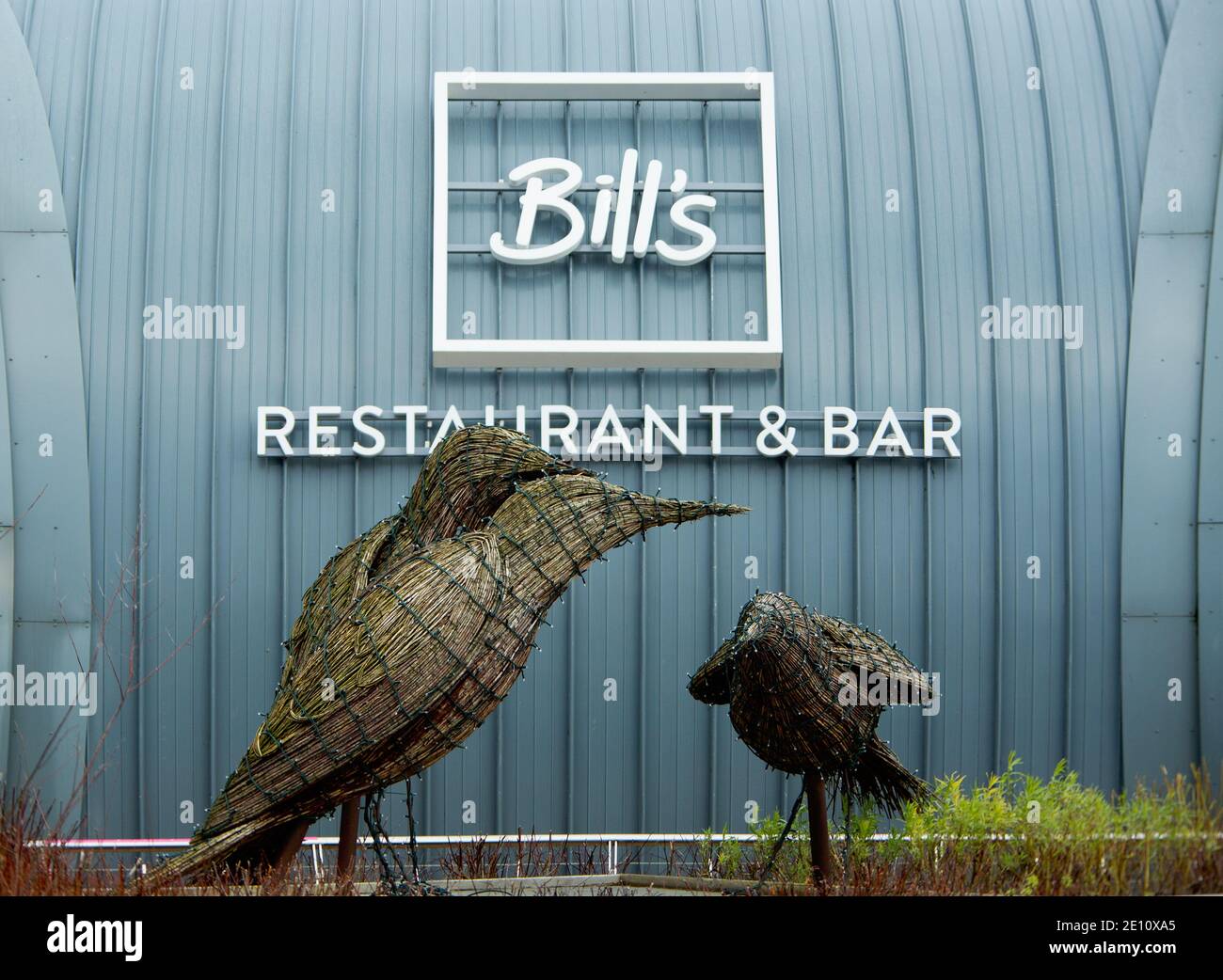Giant wicker starlings outside a restaurant called Bill's Stock Photo