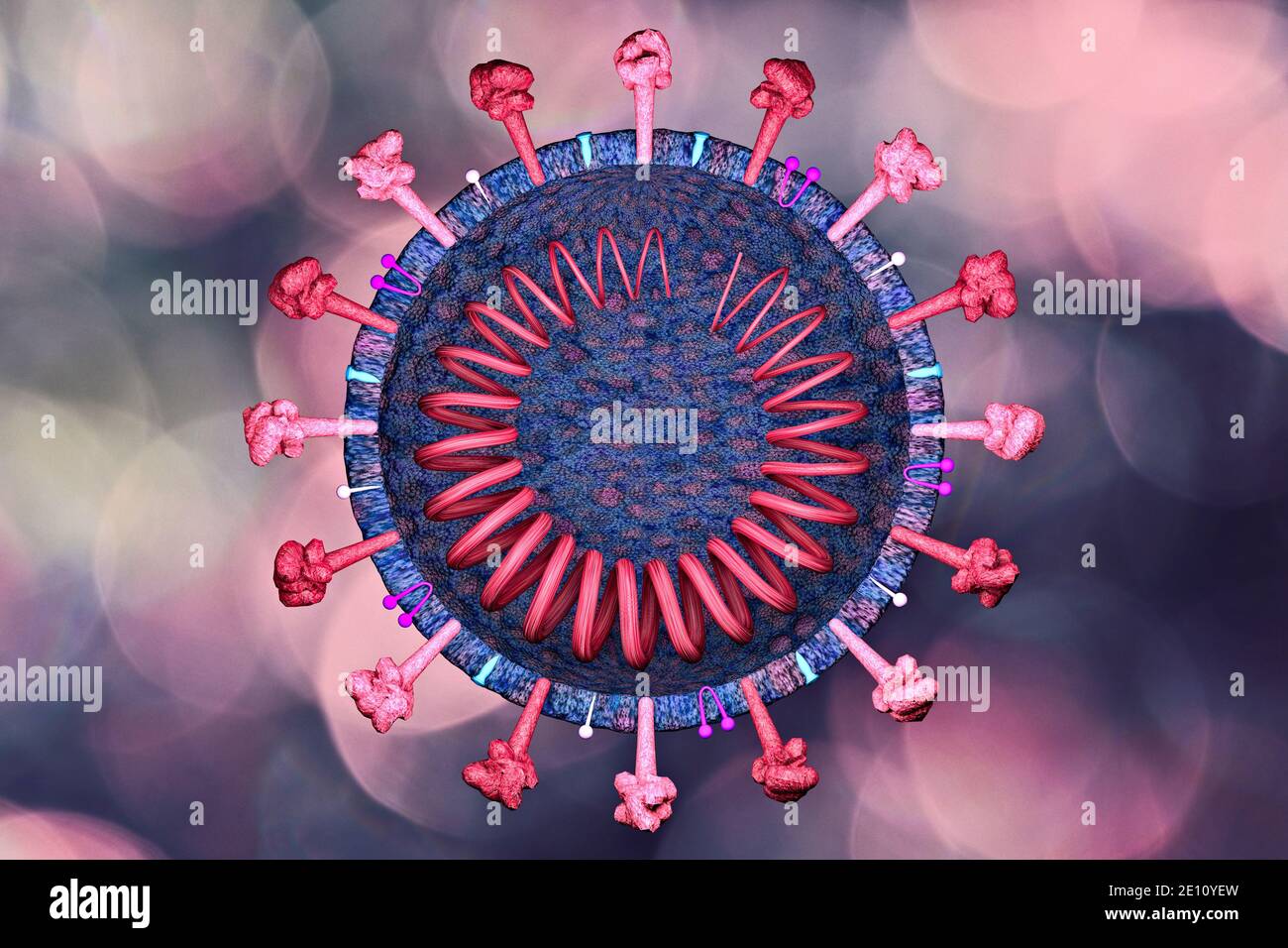 Section of the coronavirus. Microscopic view of covid-19. How SARS-Cov-2 is made. Scientific analyzes and studies. Vaccines, how they act on the virus Stock Photo