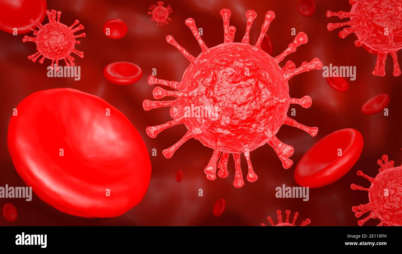 COVID-19 and Red blood cells. Microscope of Coronavirus disease. Pandemic medical concept. 3D rendering illustration. Stock Photo