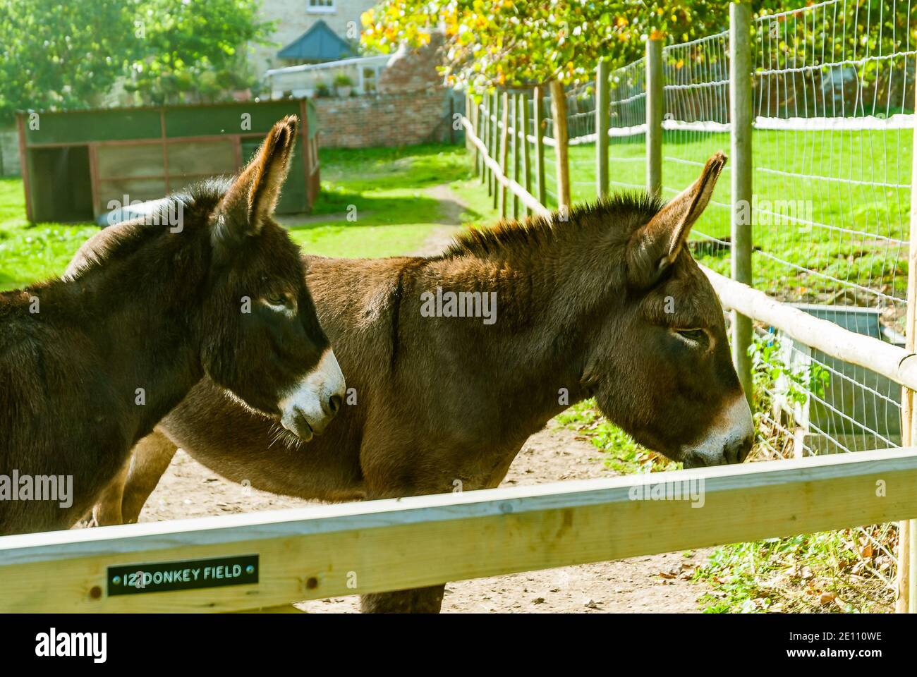 Kingston Maurward House and Gardens Stock Photo Alamy