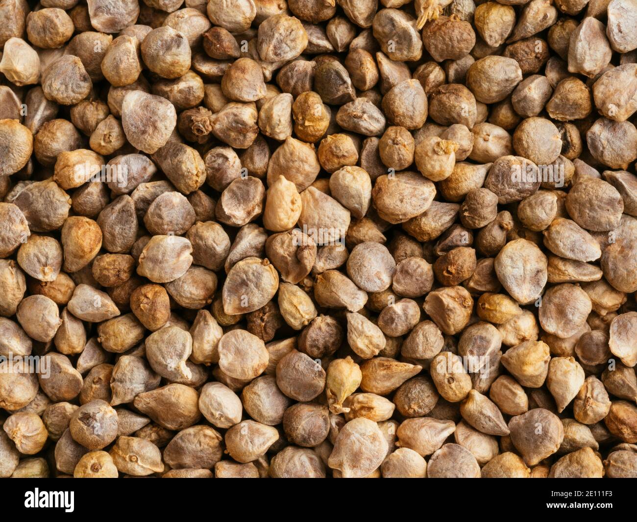 Overhead view of spinach (Spinacia oleracea) seeds. Stock Photo