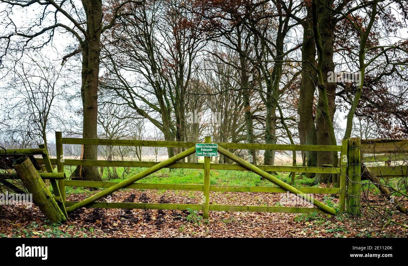 Foliage and fences hi-res stock photography and images - Alamy