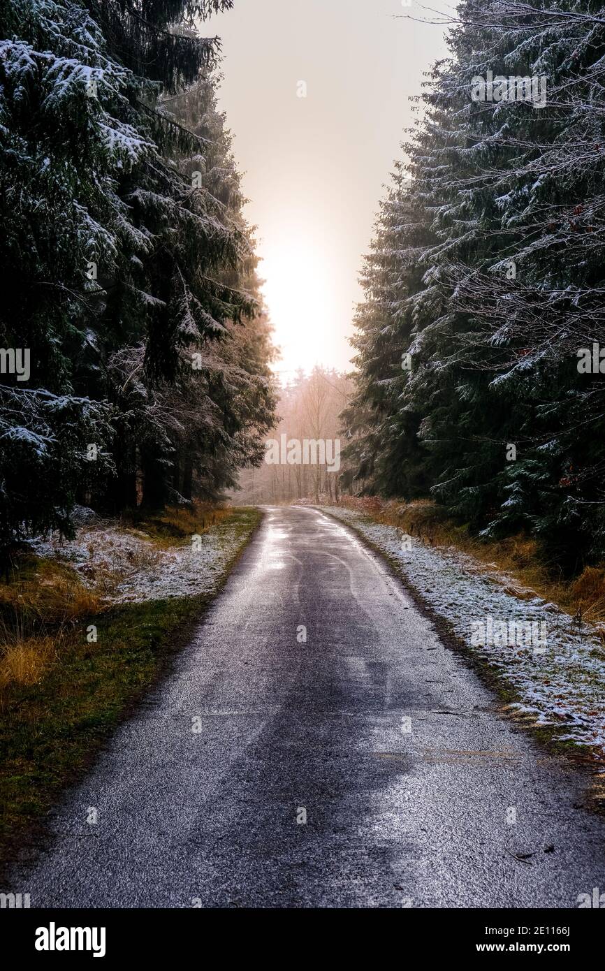 Road in the forest with fog and sunset colors. Nobody Stock Photo - Alamy
