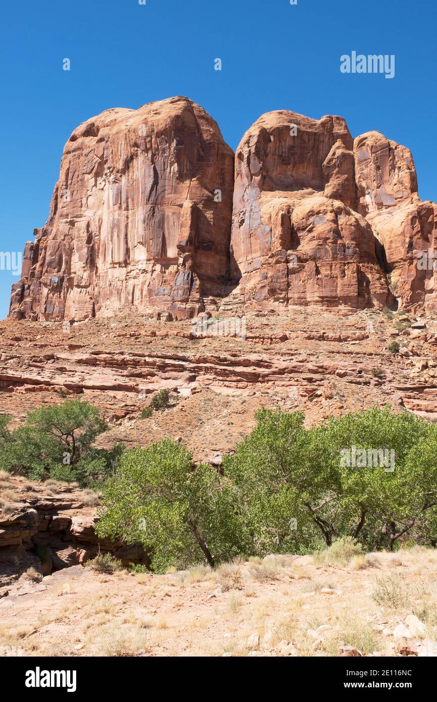 Red sandstone rocks and green trees, on Kane Creek Road, Moab, Utah